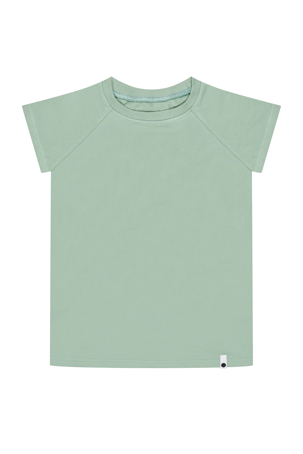 Camiseta Long - Verde Pistacho