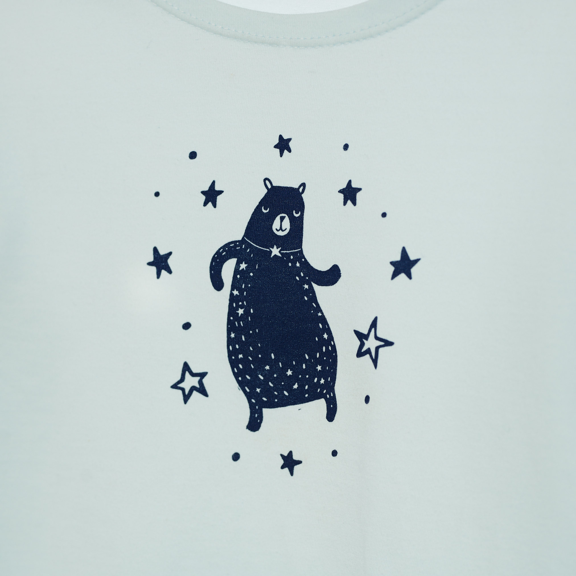 Camiseta Manga Larga Great Bear