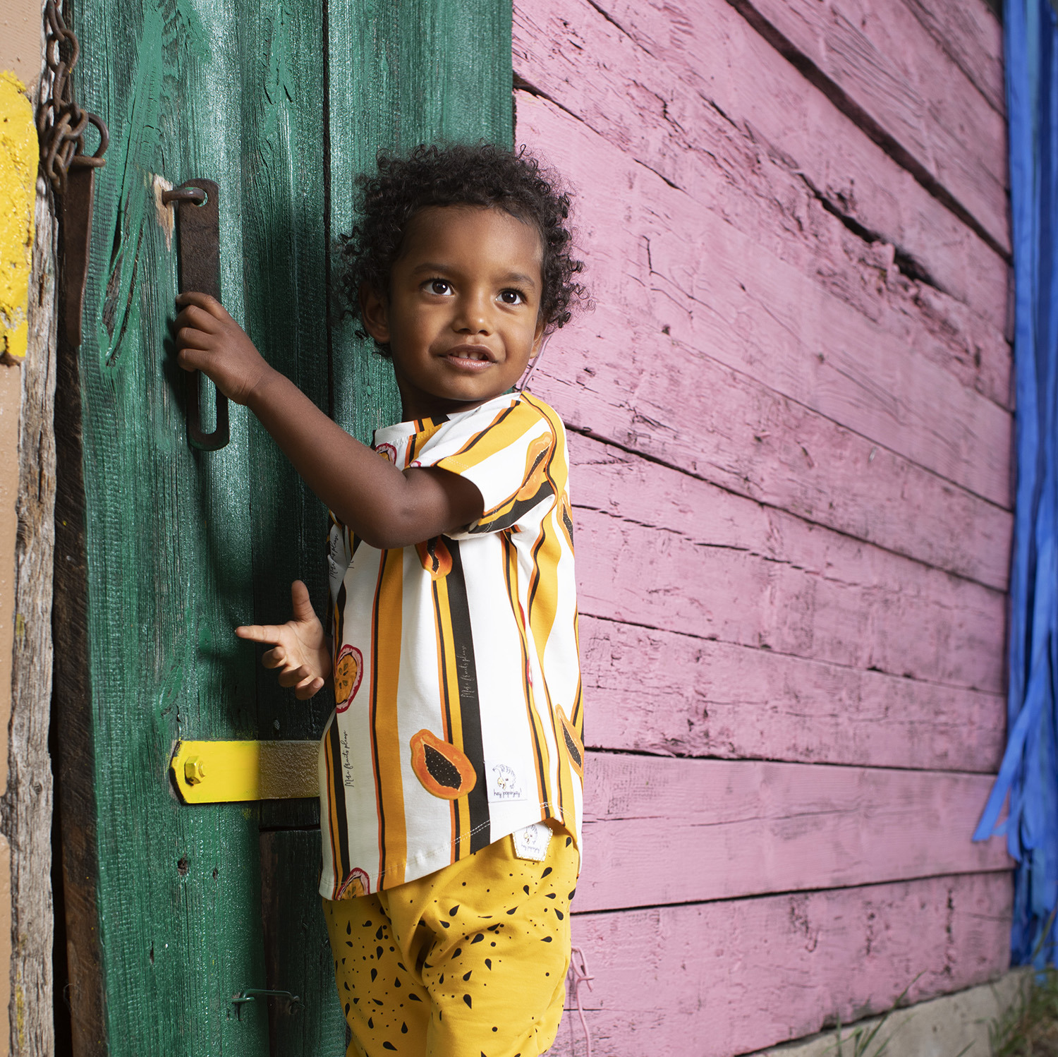 Camiseta More Fruits
