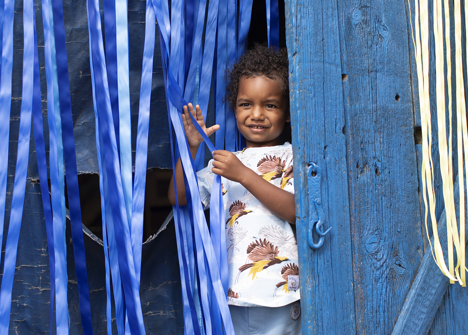 Camiseta Greater Bird