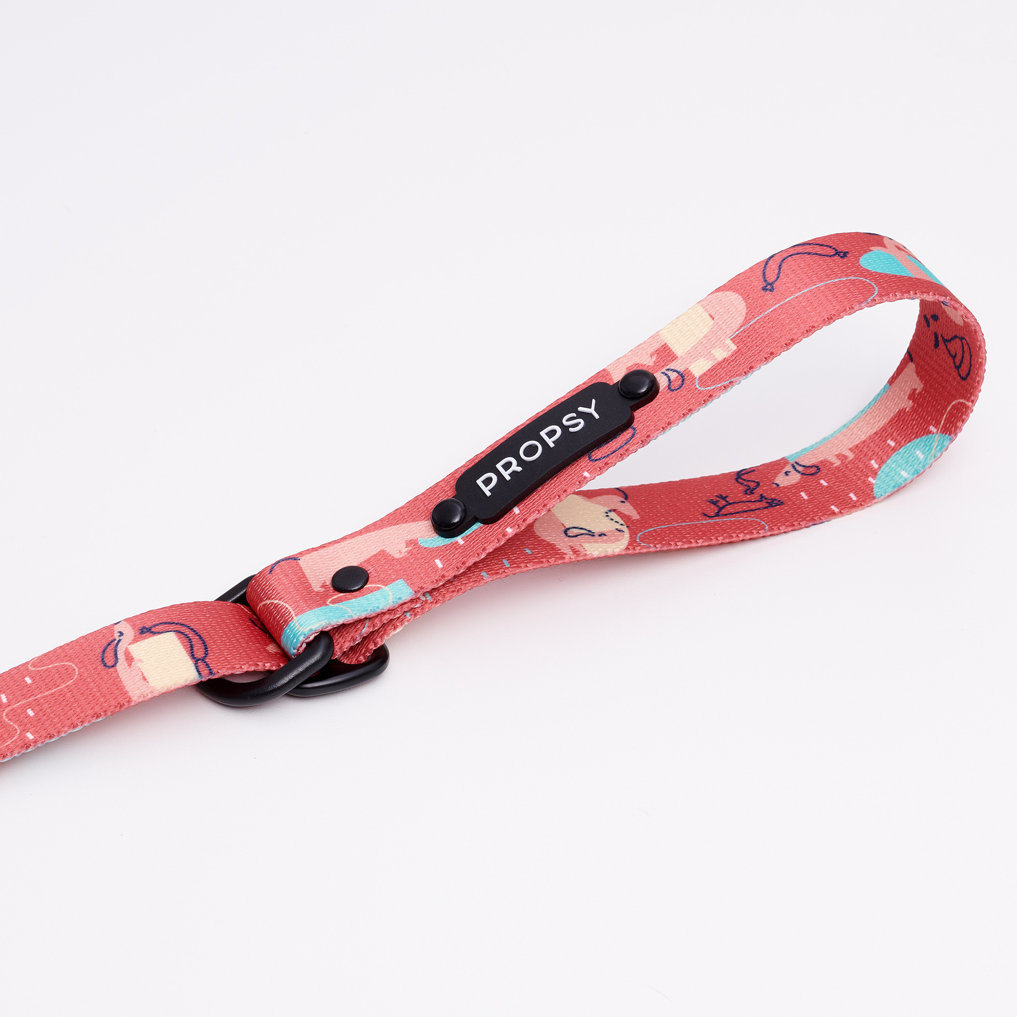 Collar deslizante - Raspberry