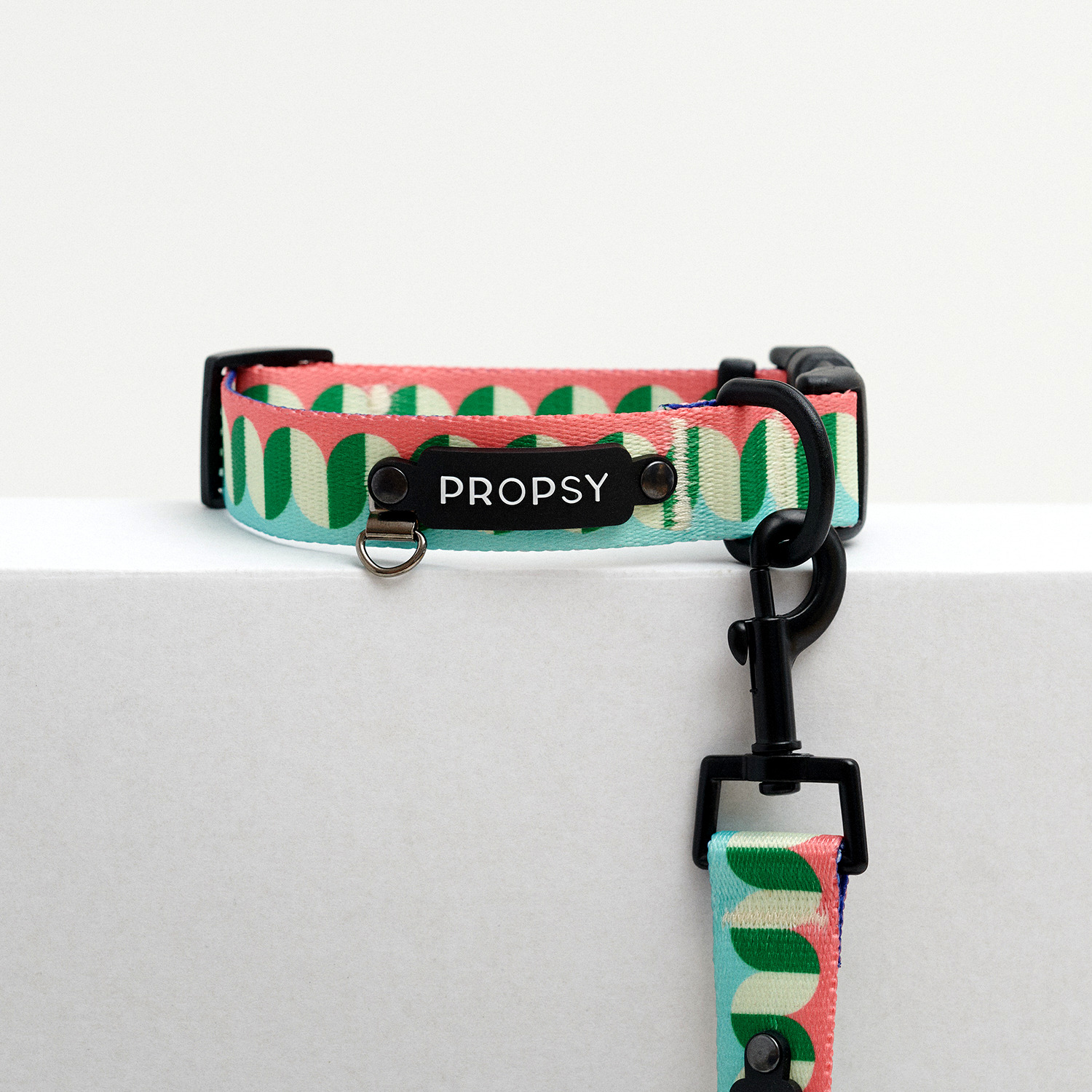 Collar con Hebilla - Modern Walking