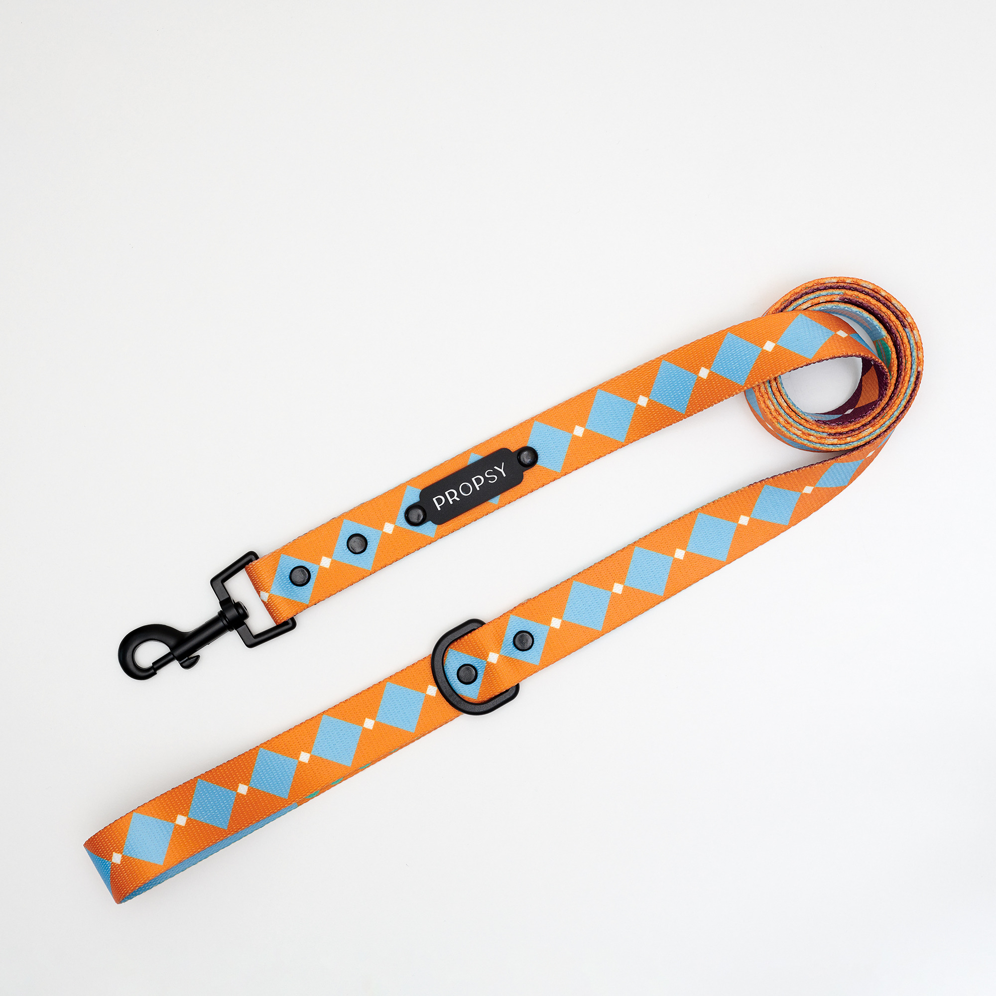 Correa urbana - Retro Pooch