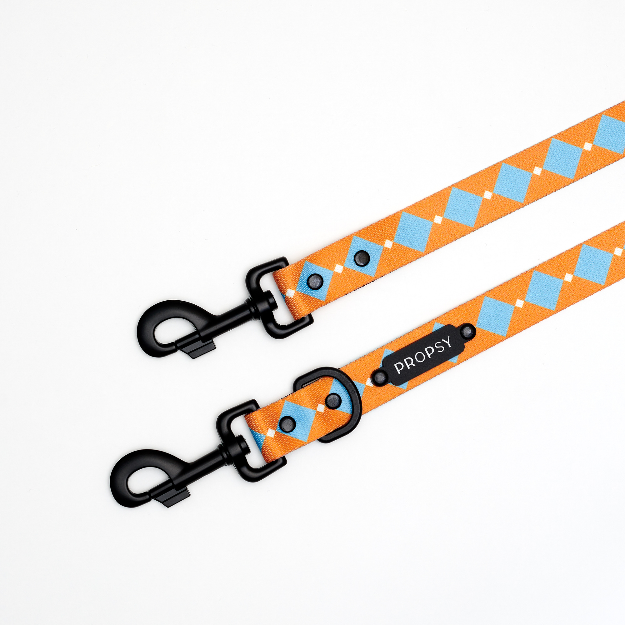 Correa ajustable - Retro Pooch