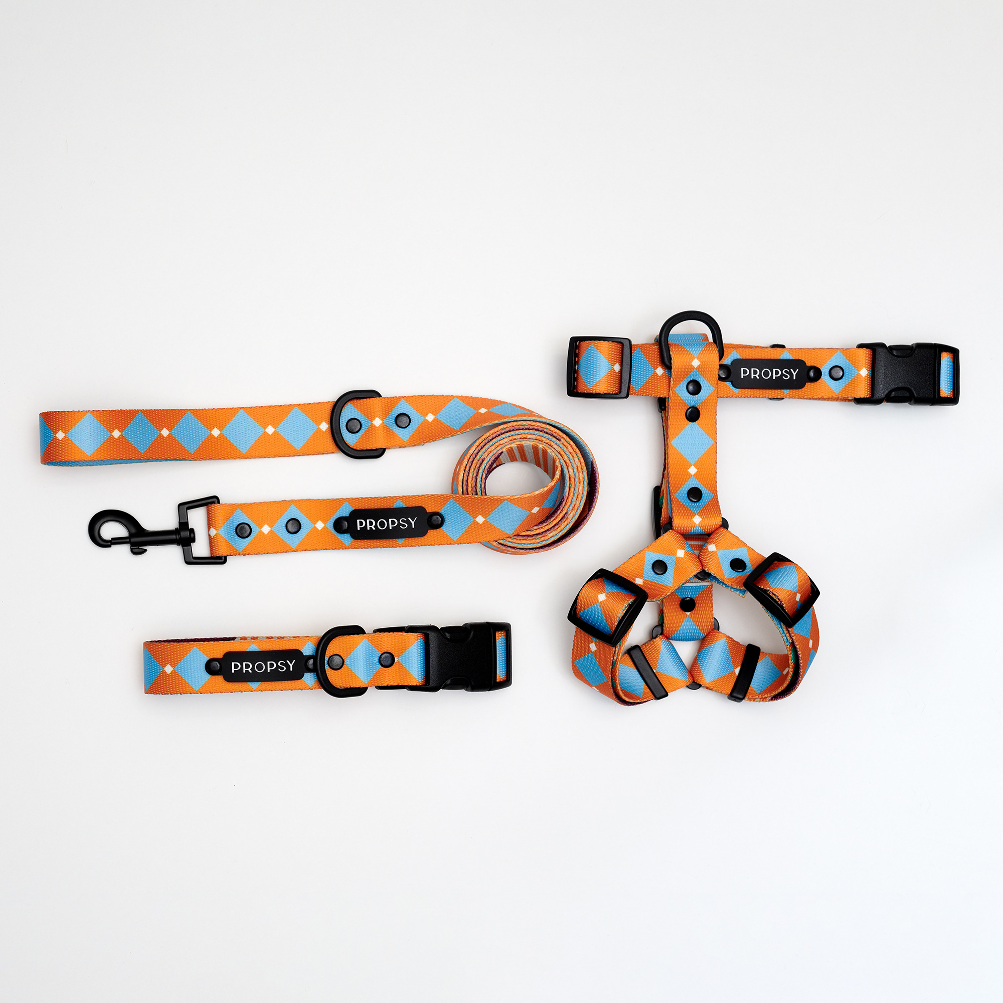 Collar con Hebilla - Retro Pooch