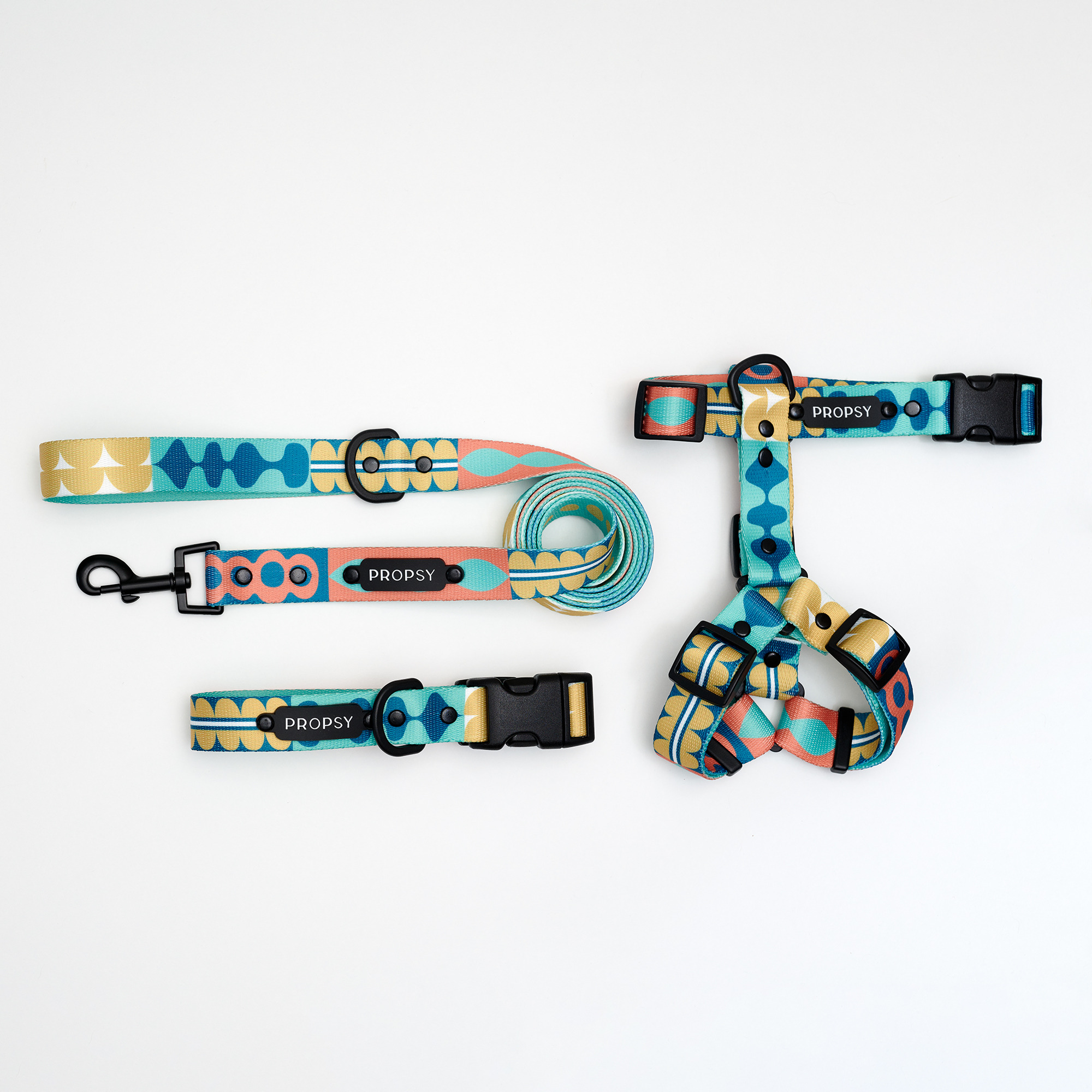 Collar deslizante - Dooggie Woogie