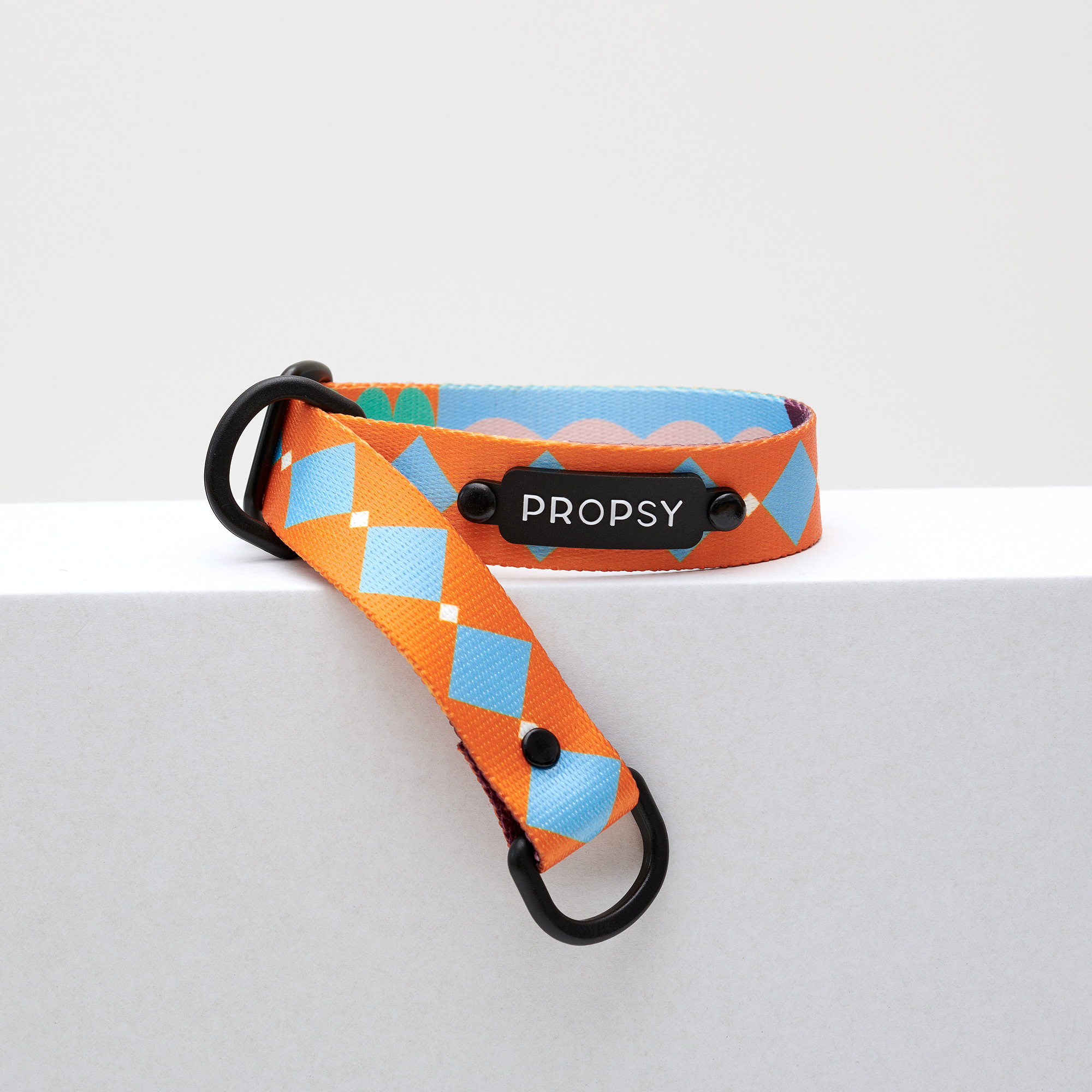 Collar deslizante - Retro Pooch