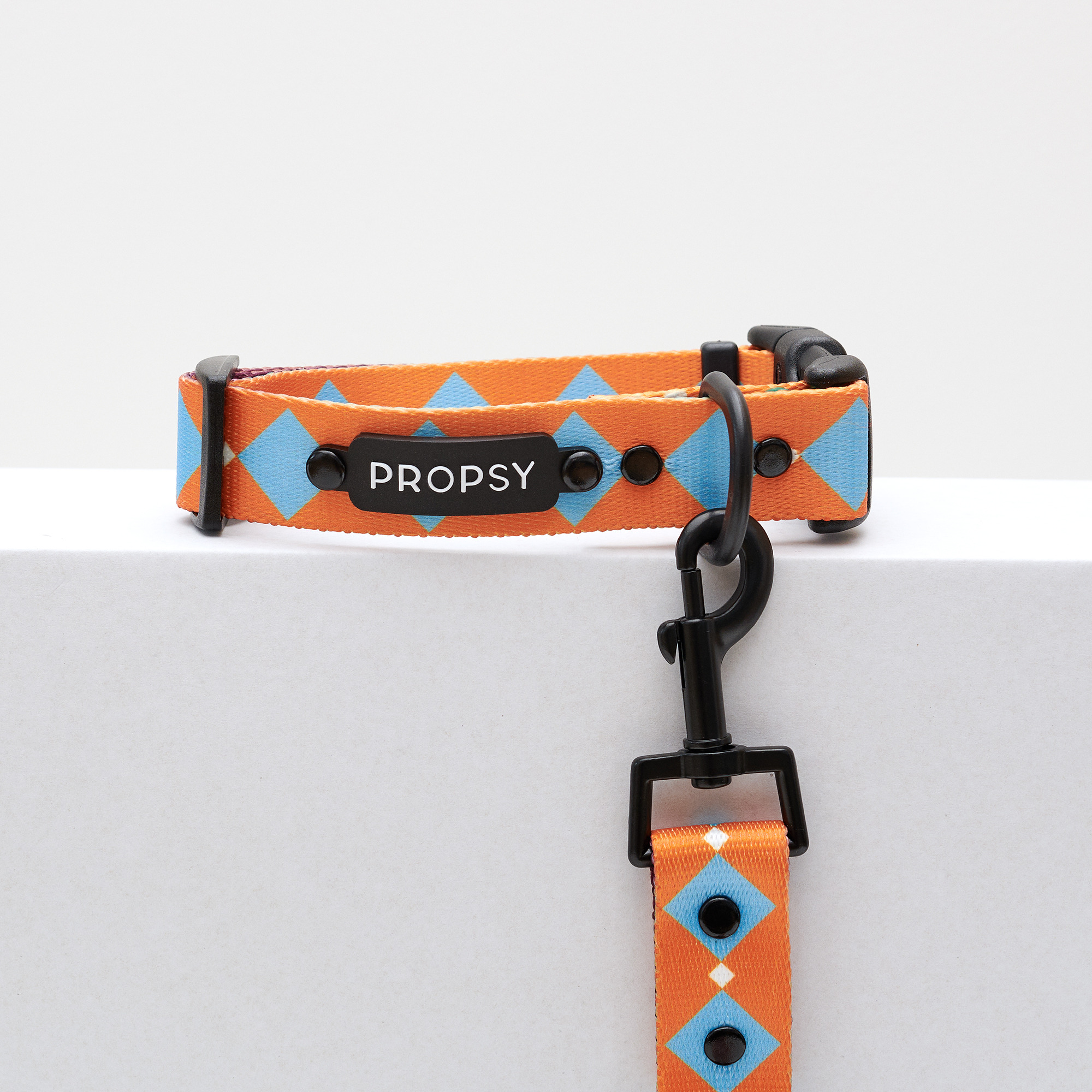 Collar con Hebilla - Retro Pooch